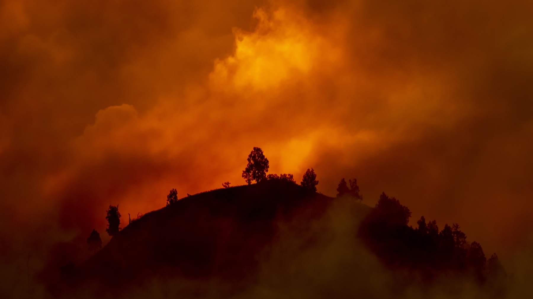 Managing fire fuels